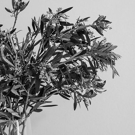 Appartamento Sea View Casa Naxos City Esterno foto